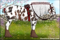 Horse Color:White Spotted Liver Chestnut Appaloosa 