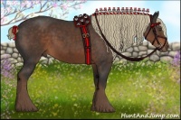 Horse Color:Liver Chestnut Sabino Rabicano