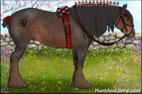 Horse Color:Liver Chestnut Sabino Rabicano 