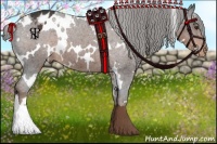 Horse Color:White Spotted Liver Chestnut Varnish 