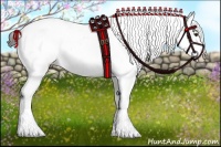 Horse Color:White Spotted Liver Chestnut Appaloosa