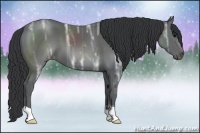 Horse Color:Black Ice 