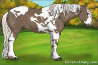 Horse Color:Silver Smoky Black Splash Tobiano