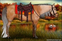 Horse Color:Bay  Brindle