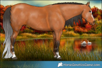 Horse Color:Bay  Brindle