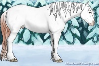 Horse Color:Brown Dun Tobiano Blanket