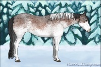 Horse Color:White Spotted Bay Roan Tobiano