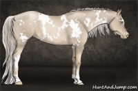 Horse Color:White Spotted Chocolate Palomino Pearl 
