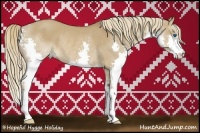 Horse Color:Red Dun Splash Rabicano 