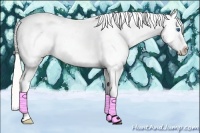 Horse Color:Silver Amber Champagne Roan Pearl Dun Splash Tobiano Appaloosa