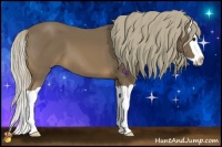 Horse Color:Chestnut Splash 