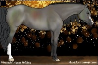 Horse Color:Grullo 