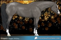 Horse Color:Grullo