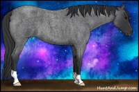 Horse Color:Blue Roan 
