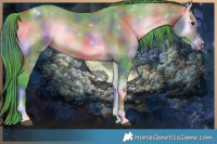 Horse Color:Nacre Watercolor Bay Onyx 