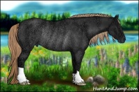 Horse Color:Liver Chestnut Ice Rabicano