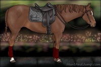 Horse Color:Chestnut Sabino