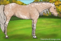 Horse Color:Silver Bay Ice