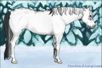 Horse Color:White Spotted Black Frame Rabicano 