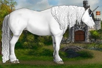 Horse Color:Grullo Splash Tobiano 