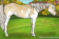Horse Color:Silver Bay Dun Splash 