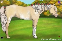Horse Color:White Spotted Silver Amber Champagne Dun Sabino 