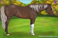 Horse Color:Silver Brown 