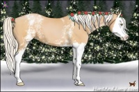 Horse Color:White Spotted Silver Bay Pearl Splash