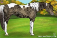 Horse Color:Amber Champagne Ice Dun Tobiano 