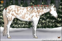 Horse Color:Chestnut Pearl Splash Near Leopard