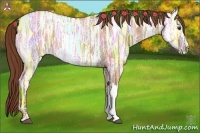 Horse Color:Red Dun Ice Rabicano 