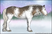 Horse Color:White Spotted Liver Chestnut Rabicano 