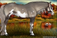 Horse Color:Silver Blue Onyx Frame