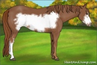 Horse Color:Chestnut Frame