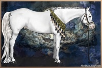 Horse Color:Silver Grullo Onyx Sabino Tobiano Blanket 