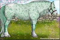 Horse Color:Watercolor Black Sabino Appaloosa 