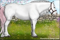 Horse Color:Watercolor Black Sabino Near Fewspot