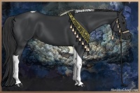 Horse Color:Black Tobiano