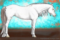 Horse Color:Amber Champagne Sabino Appaloosa