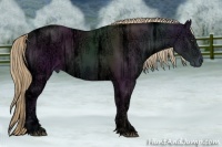 Horse Color:Liver Chestnut Ice Rabicano 