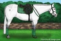 Horse Color:Silver Buckskin Chinchilla Dun 