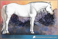 Horse Color:Chestnut Appaloosa
