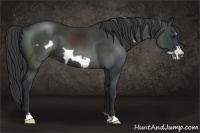 Horse Color:Black Frame 