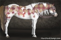 Horse Color:Plaid  White Spotted Buckskin Splash Tobiano 