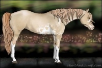 Horse Color:Liver Red Dun Pearl Sabino Rabicano 