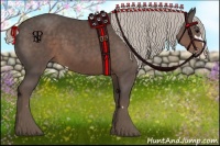 Horse Color:Silver Black Sabino 