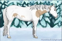 Horse Color:Silver Bay Roan Dun Splash Tobiano Rabicano 