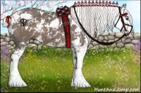 Horse Color:Silver Black Sabino