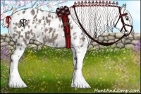 Horse Color:Silver Black Sabino Appaloosa 