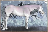 Horse Color:Watercolor Red Onyx Pearl Splash Frame Rabicano
